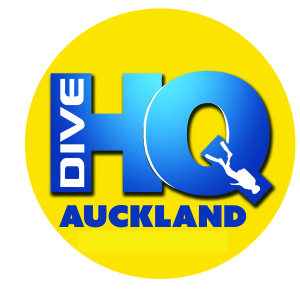 DIve HQ Auckland animoto