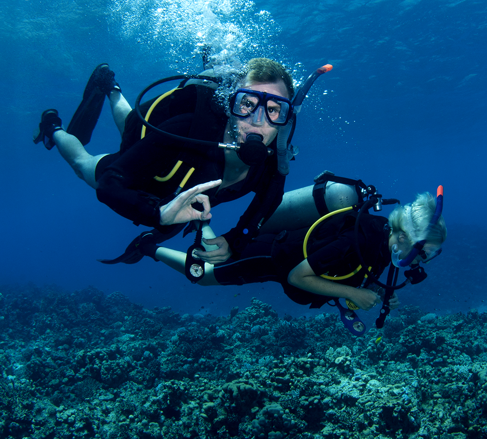 PADI Dive HQ Westhaven Equipment Hire Scuba Diving